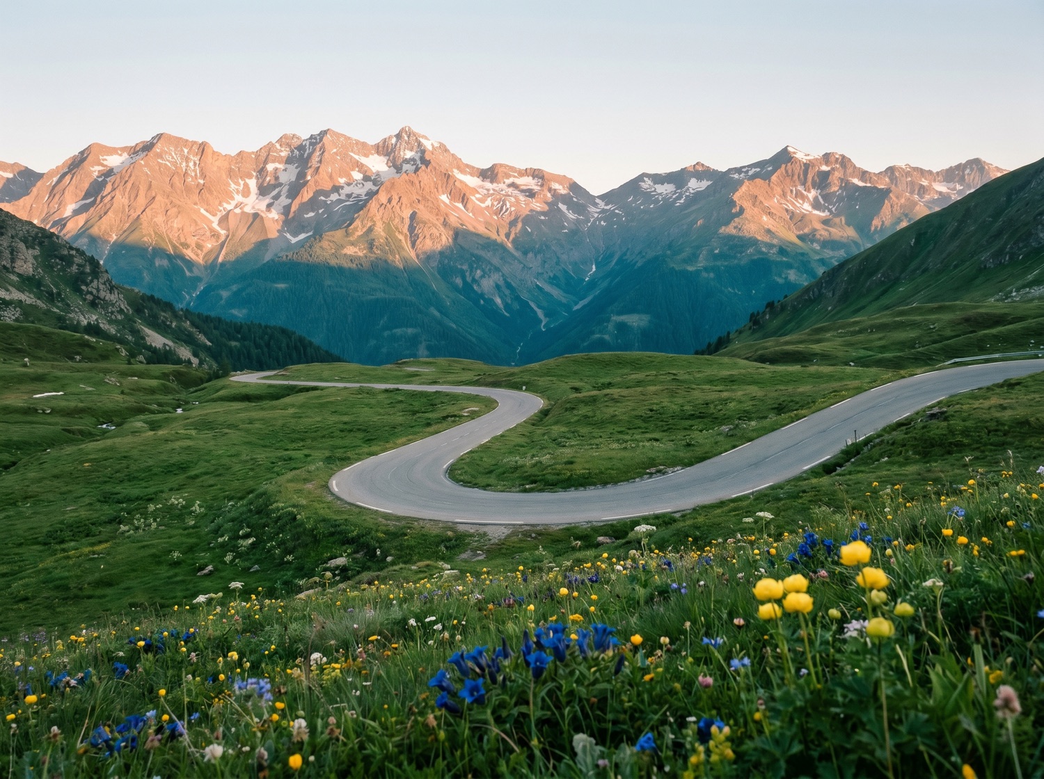 A small group of cars on a sweeping open alpine pass road